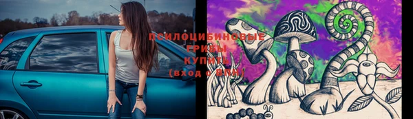 скорость Богородицк