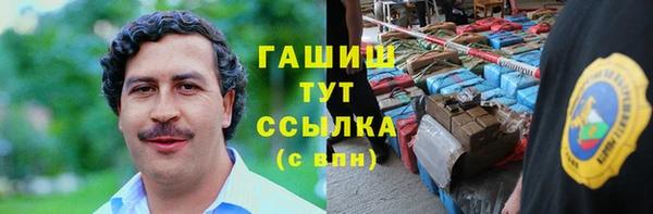 spice Богородск