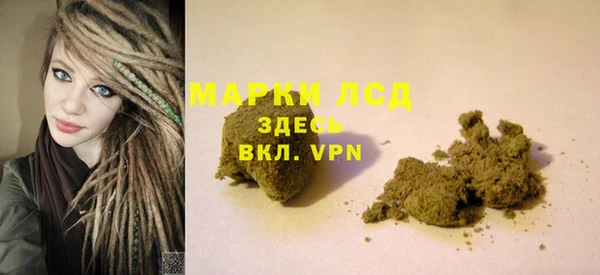 spice Богородск
