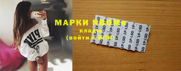 spice Богородск