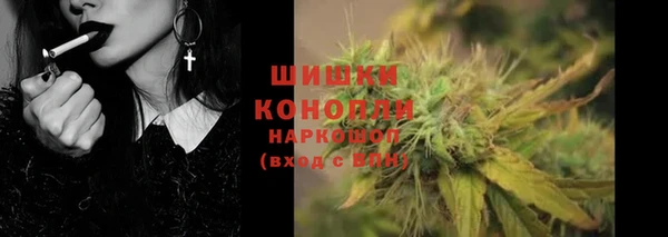 эйфоретик Богданович