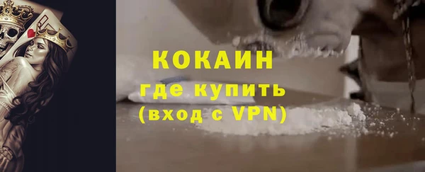 эйфоретик Богданович
