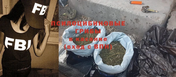 эйфоретик Богданович
