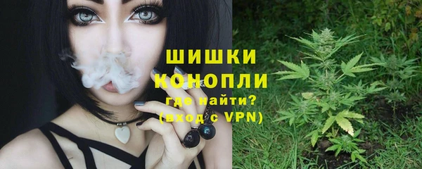 эйфоретик Богданович