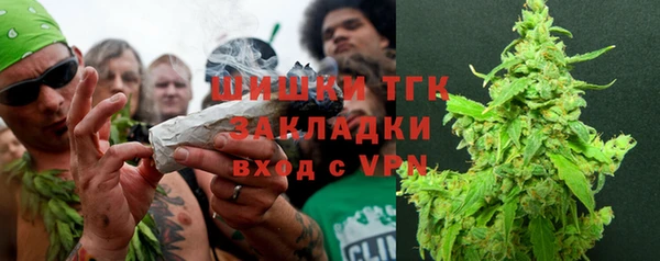 spice Богородск