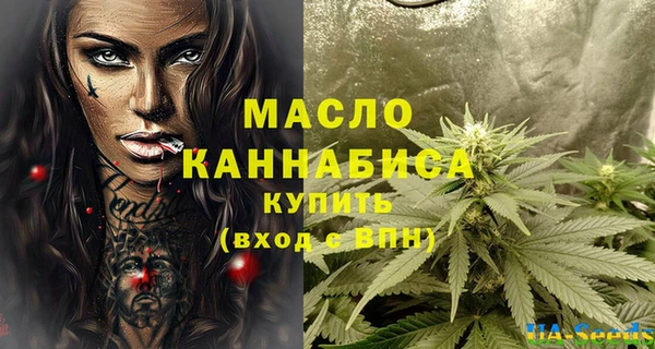 spice Богородск