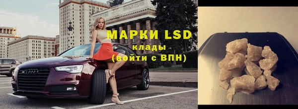 spice Богородск