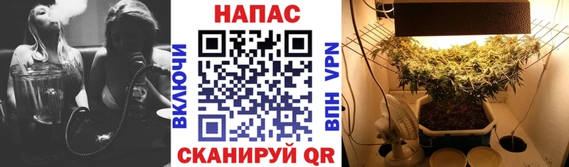 ссылка на мегу как войти  Ильский  Бошки Шишки THC 21% 